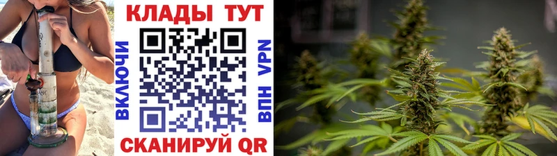 Купить Alpha-PVP МЕФ Амфетамин COCAIN Каннабис Кинешма