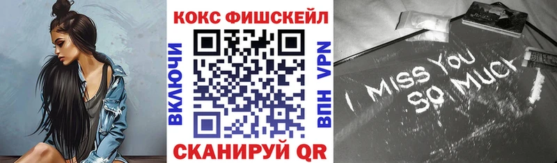 Купить Кинешма Кокаин Fish Scale