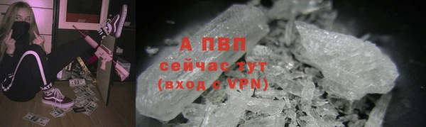 СК Магадан