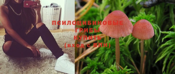 мескалин Магас
