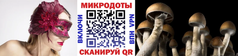 Псилоцибиновые грибы Magic Shrooms  Купить закладки  Кинешма 